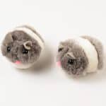 Souris à corde vibrante – Image 4