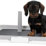 PUPPY TRAINING SET