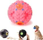 Balle sonore pour chien