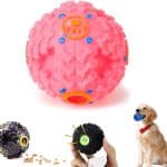 Balle sonore pour chien