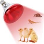 LAMPE ROUGE
