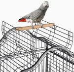 Cage Perroquet BE-16B – Image 6