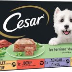 CESAR Repas pour Chien BARQUETTE 130G