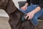 Brosse douce Chat ET Chien 24155 – Image 4