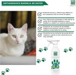 Spray Antiammoniac Plateaux MEN FOR SAN 500ML – Image 5