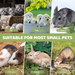 Kit Biberon pour animaux – Image 6