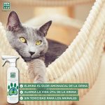 Spray Antiammoniac Plateaux MEN FOR SAN 500ML – Image 3