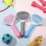 Brosse de toilettage pour animaux