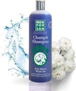 SHAMPOING MEN FOR SAN CHIEN 300ML