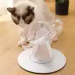 SPACE RING
