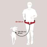CEINTURE VENTRAL 1275 – Image 4