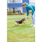 Balle Avec Corde Pour Chien 3453 – Image 2