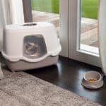 TRES CHIC INDOOR FILTER – Image 2