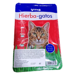 L’herbe à chat