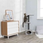 ARBRE A CHAT GALENO 43827