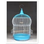 Cage oiseau rond