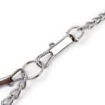 Chaine avec collier de fer – Image 4