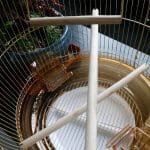 Cage ronde pour aras – Image 5
