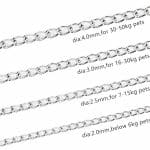 Chaine avec collier de fer – Image 5