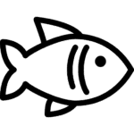 Poisson