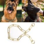 Collier a maille pour chien doré – Image 3