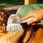 Brosse de massage pour animaux – Image 7